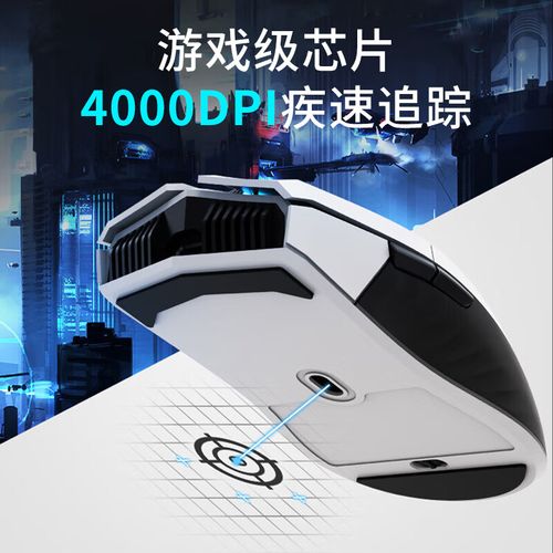 电脑硬件与外设特写