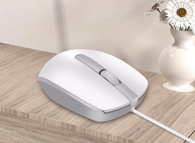 电脑桌面与外设特写