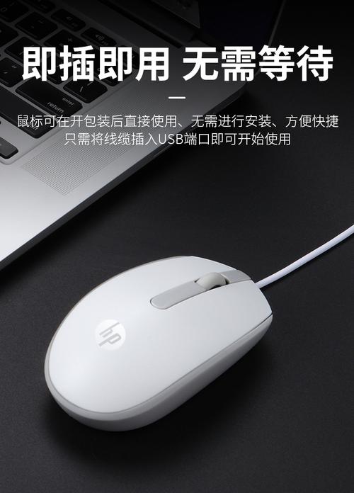 程序员或办公桌面使用电脑