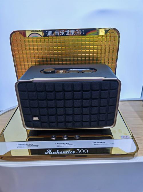 Portable Bluetooth speaker ports and controls