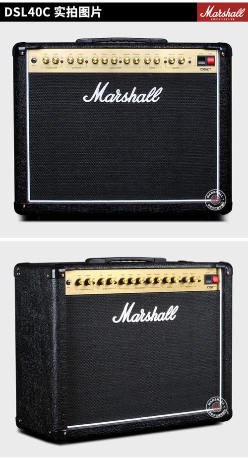 Marshall DSL40CR live performance