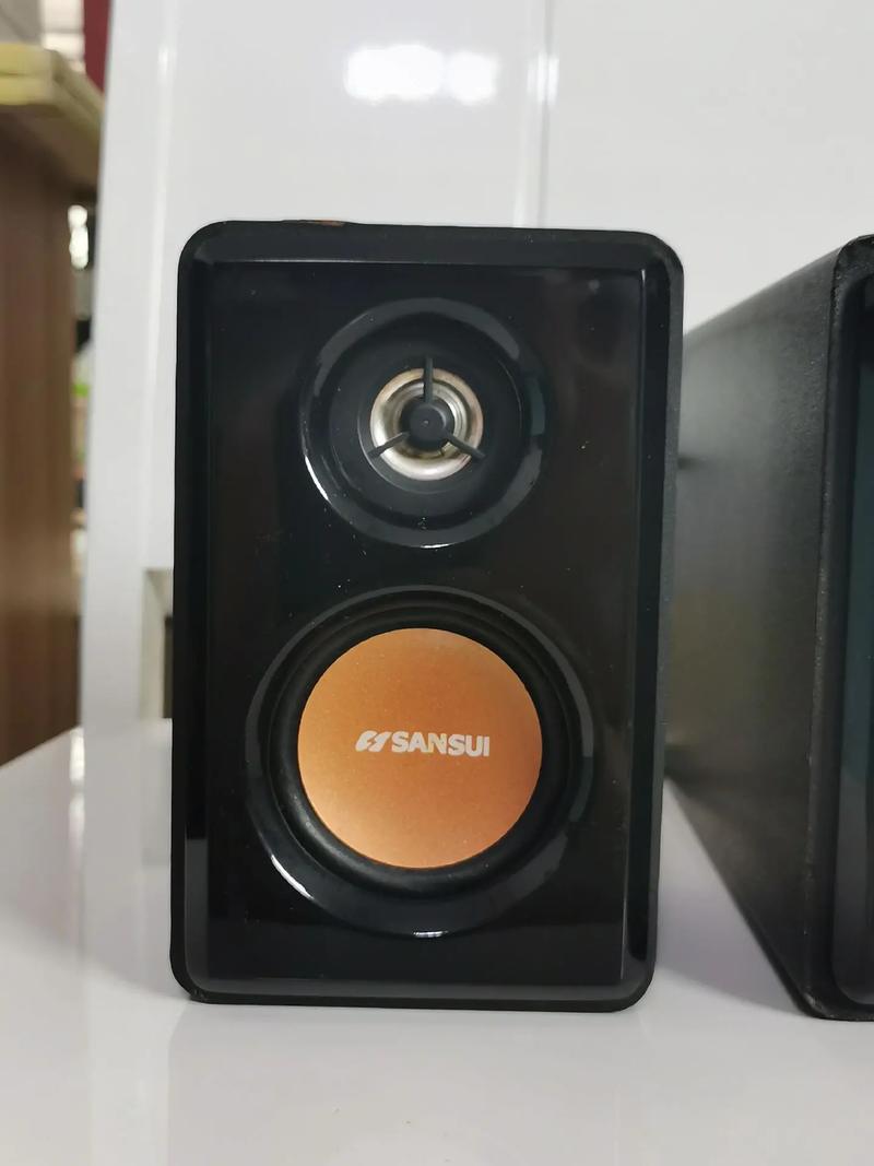 Speaker system in use for audio performance