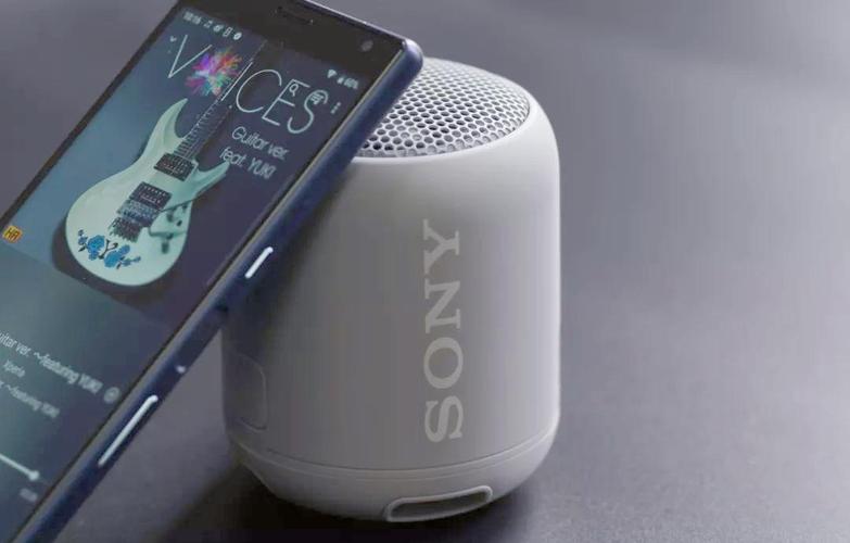 Portable bluetooth speaker close-up specs and ports