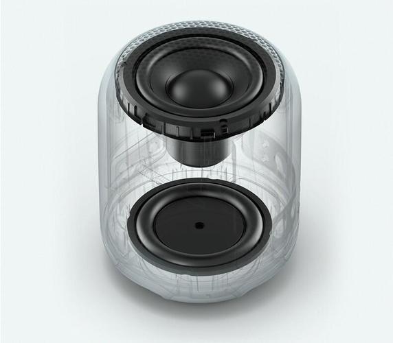 Consumer deciding on bluetooth speaker purchase