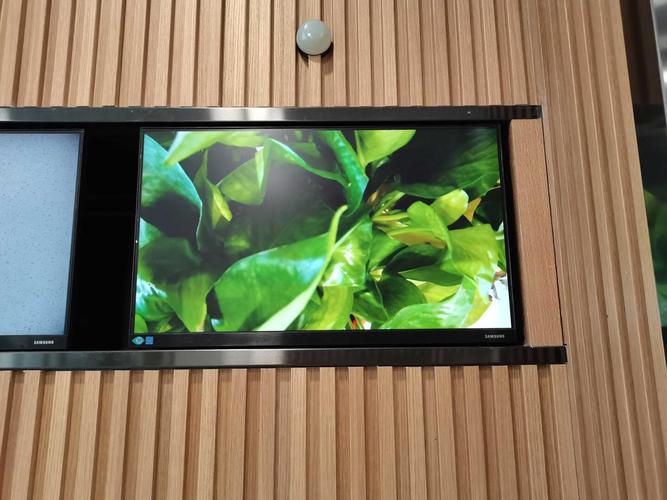 IPS monitor close-up showing vibrant display