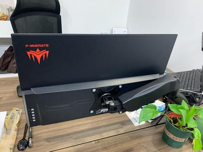 IPS panel gaming monitor technical details