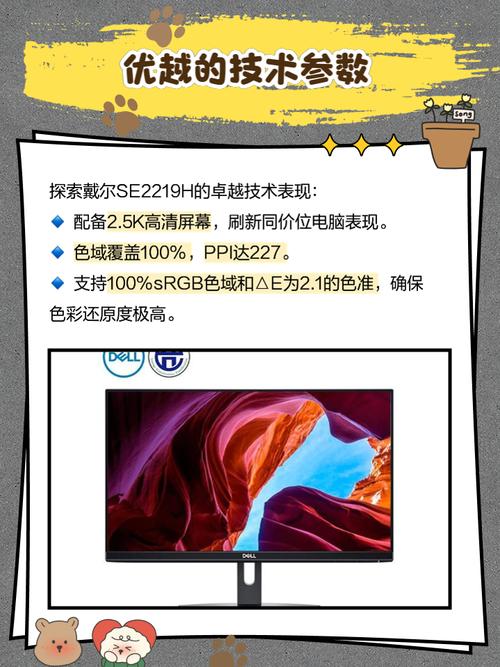 Dell SE2219H IPS 面板显示效果