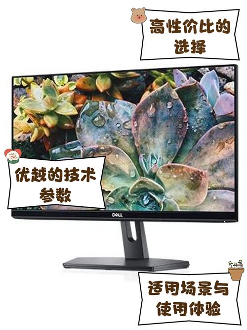 戴尔 SE2219H 21.5英寸 IPS 显示器评测:商务办公首选的护眼入门级屏