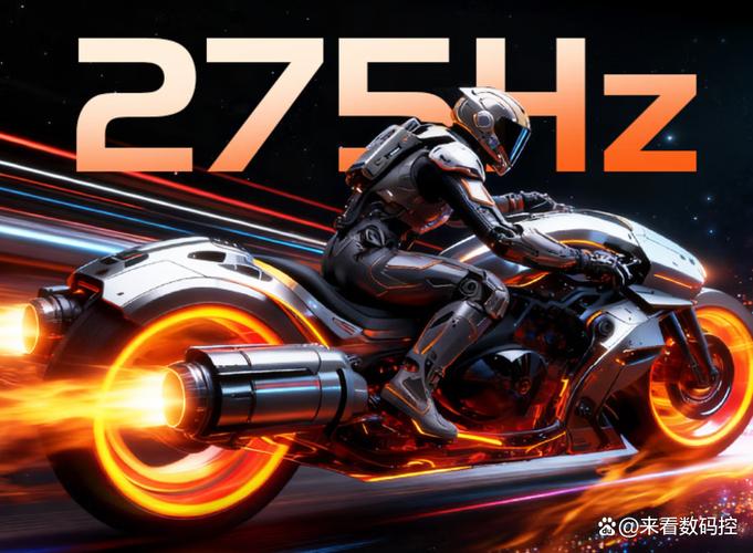 Monitor rear view with cable management