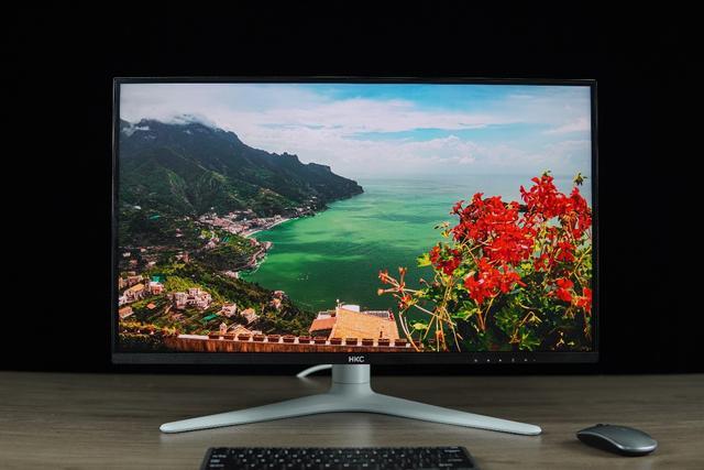 User buying gaming monitor