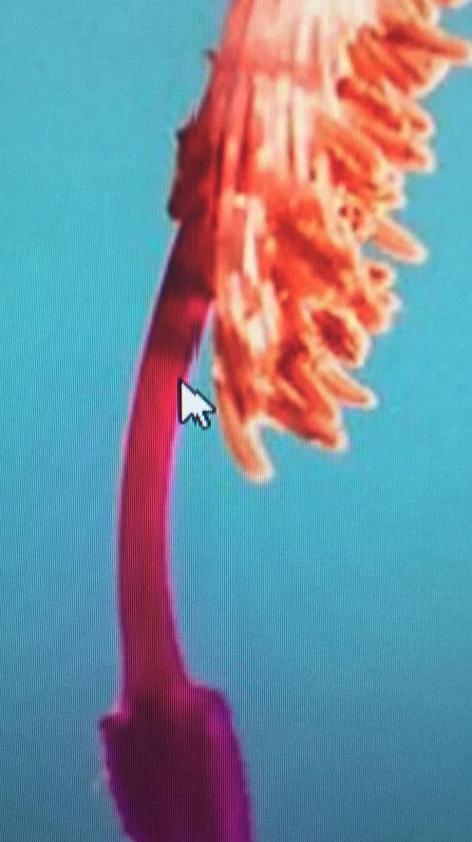 Professional hardware cooling