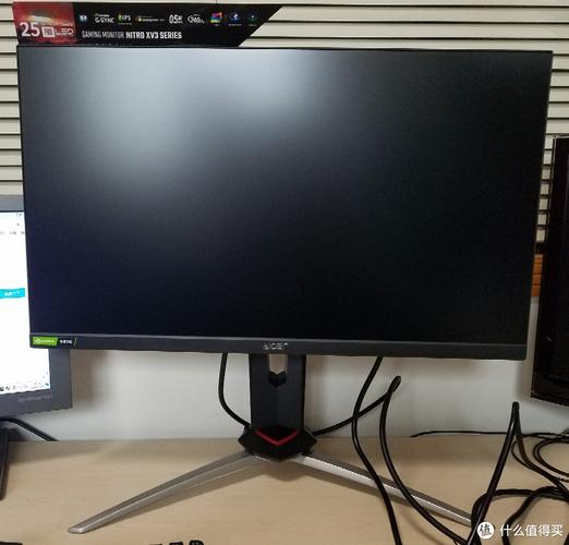 Acer XV253Q in action during gaming session