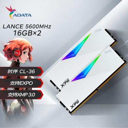 DDR5内存条规格细节