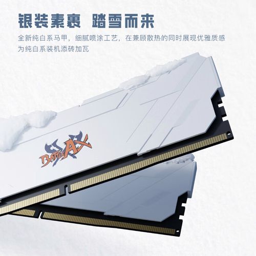 内存芯片与PCB结构特写