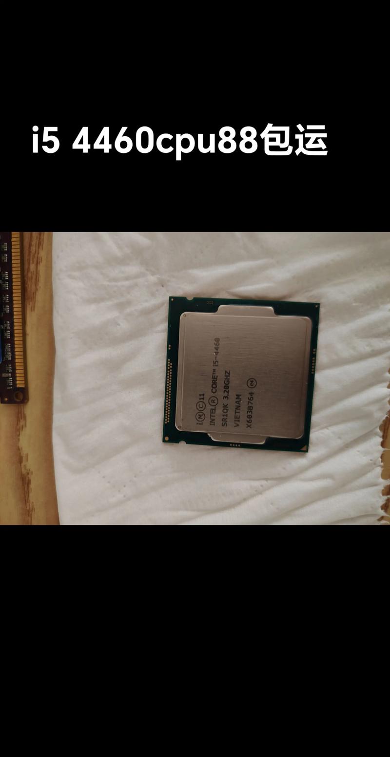 Computer motherboard CPU socket highlighting LGA installation compatibility