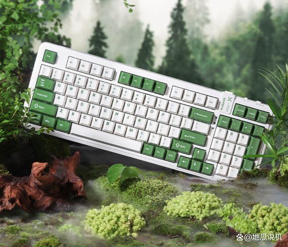 机械键盘核心轴体与规格细节