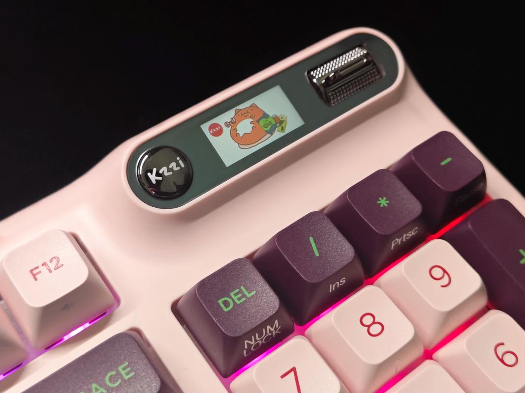 Mechanical keyboard internal hotswap switches