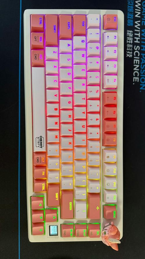 Hands typing on RGB mechanical keyboard