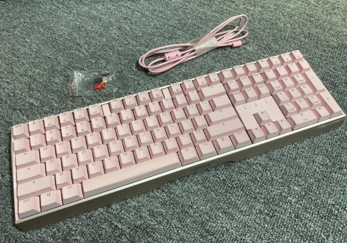 black computer mouse on white background