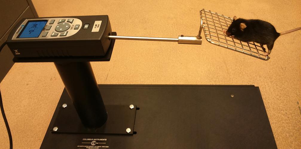 trackball mouse precision testing