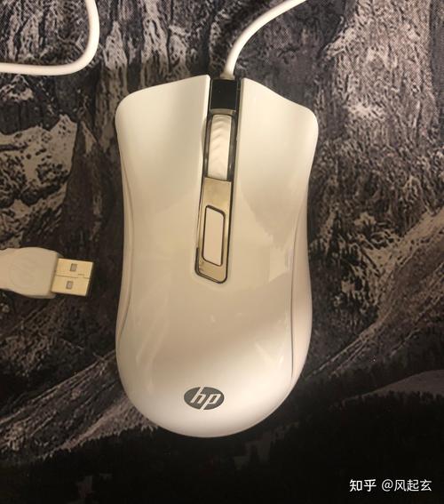 Gaming setup with mouse