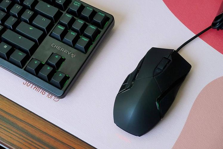 Gamer using black RGB gaming mouse in action