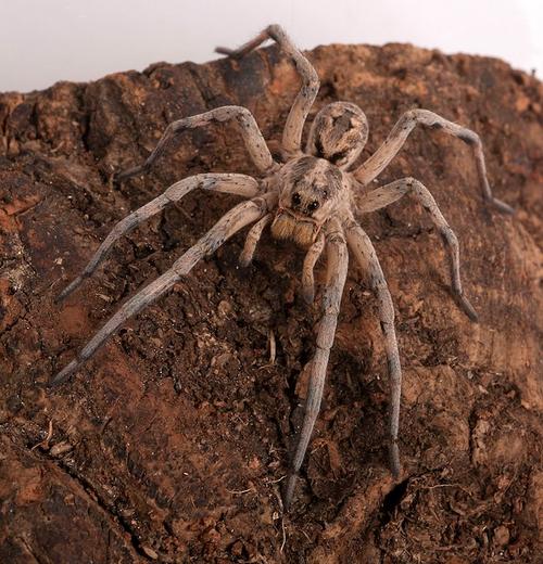 机械键盘整体评测与推荐场景