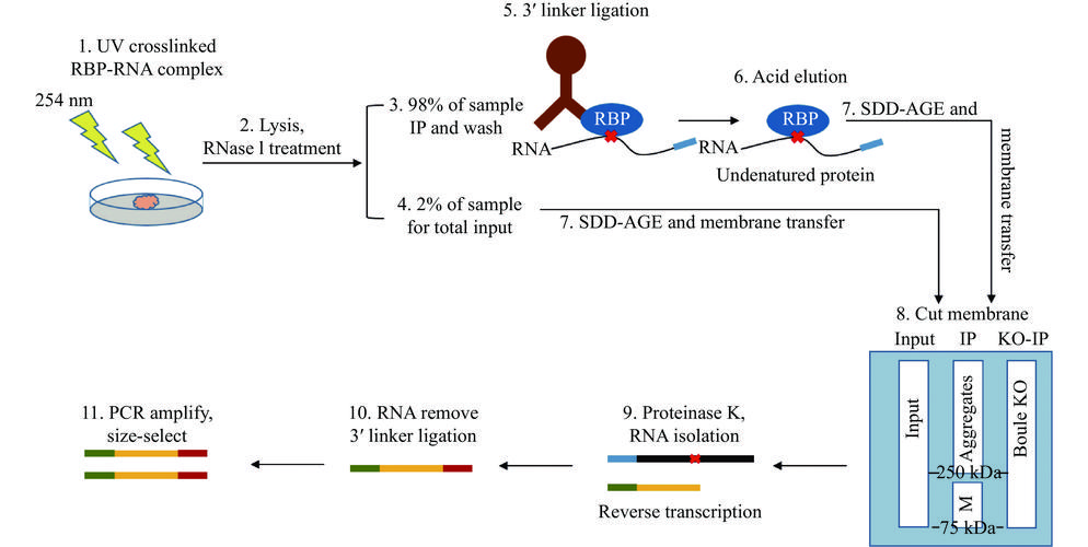 迷你音箱音质性能测试