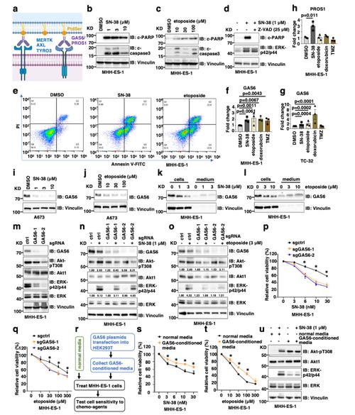硬件鼠标技术规格细节