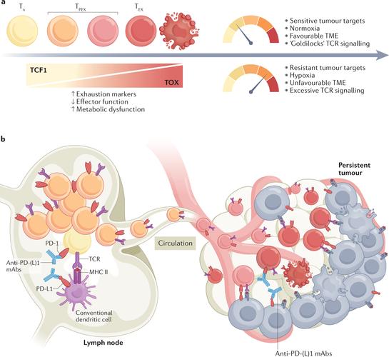 硬件鼠标散热与供电