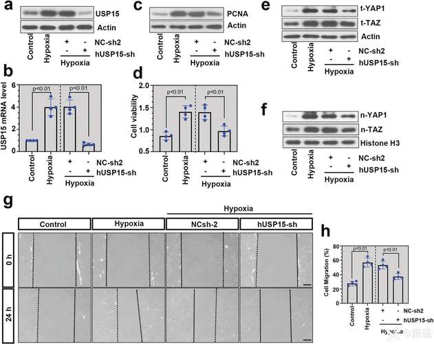 机箱扩展性能实测布局