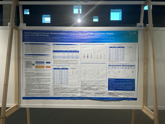 多台显示器并排展示