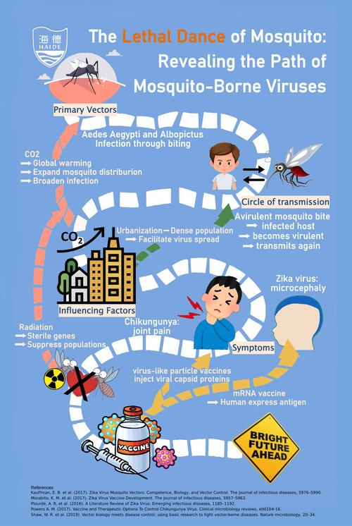 英菲克IN10鼠标外观设计展示