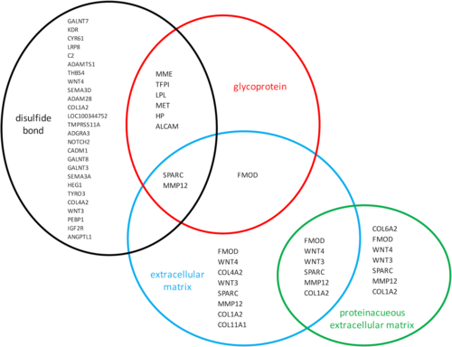 价格标签与内存条并排展示，象征性价比分析