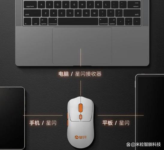 购物建议和选择