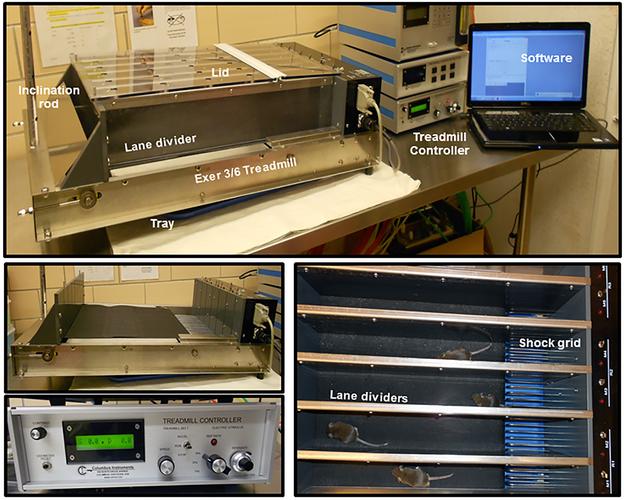 鼠标包装与售后服务