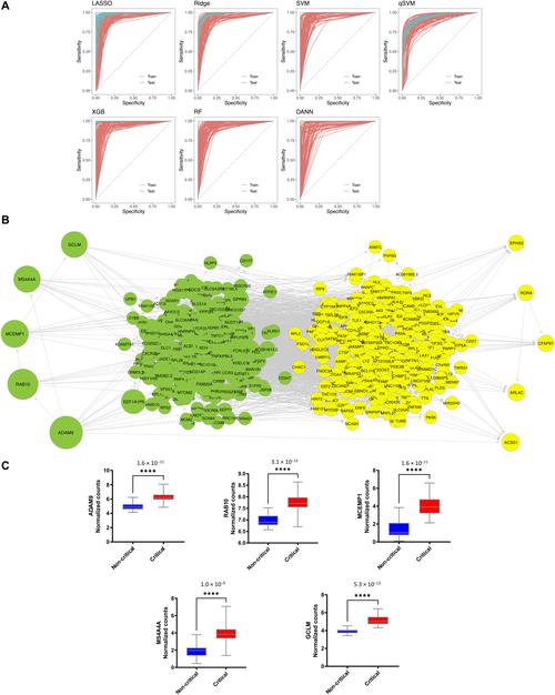 鼠标规格对比示意图