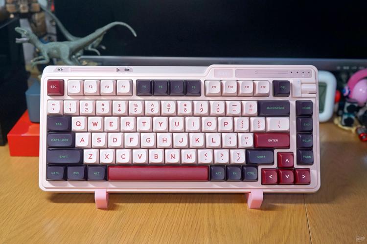 键盘核心组件和轴体特写