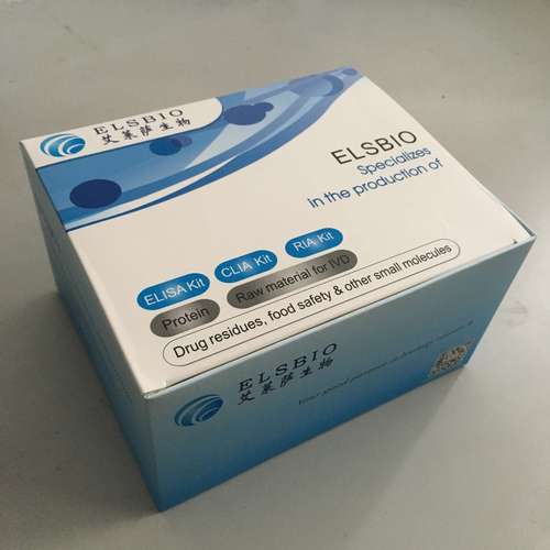 鼠标性能测试场景