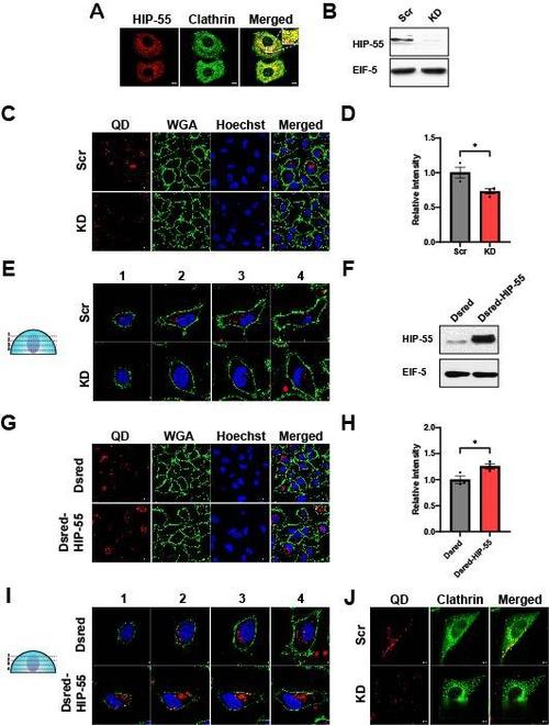 键盘背光灯效展示