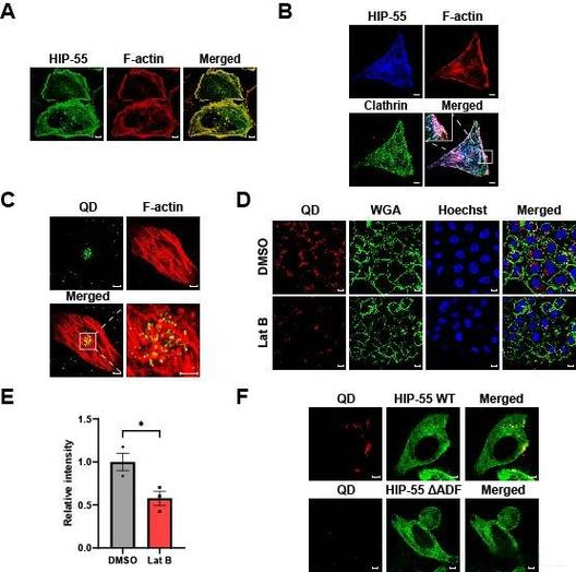键盘轴体与按键测试