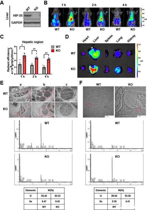硬件产品价值评估