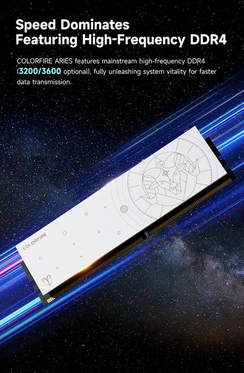 购物场景，突出性价比选择