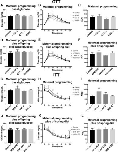 无线USB接收器展示