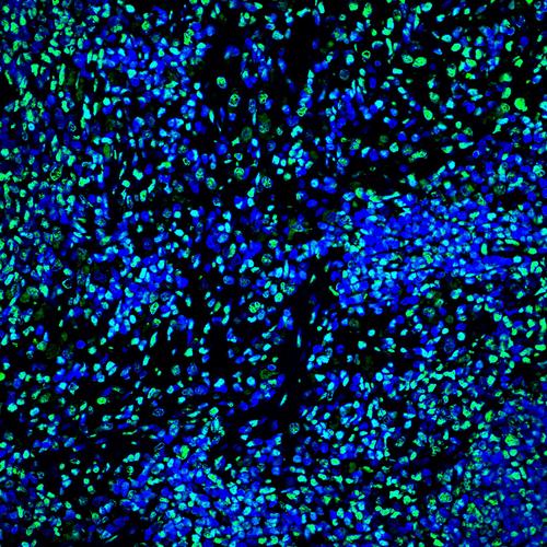 鼠标在办公场景中的性能测试