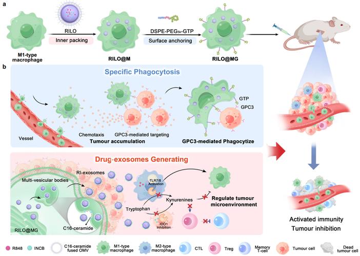 黑色游戏鼠标特写，展示对称设计和RGB灯效
