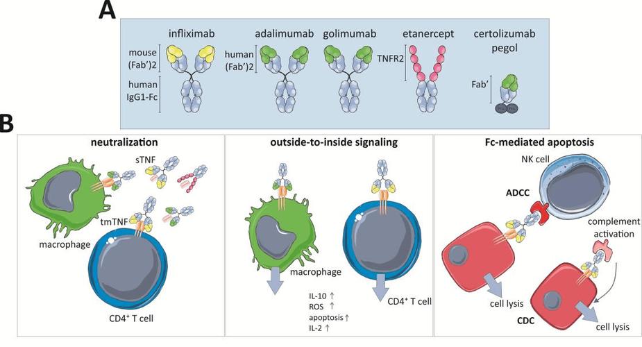 USB连接和电源管理示意图