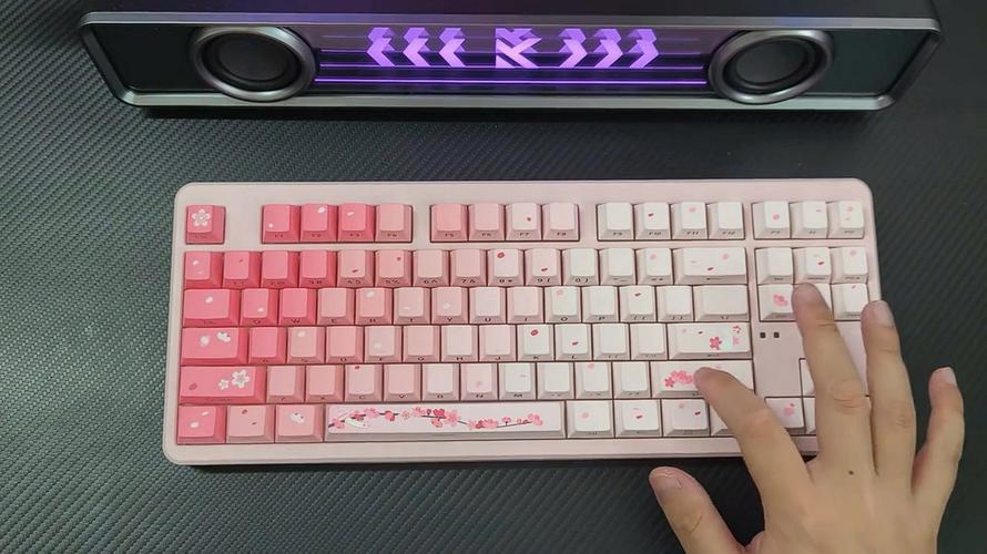 键盘与其他外设搭配展示