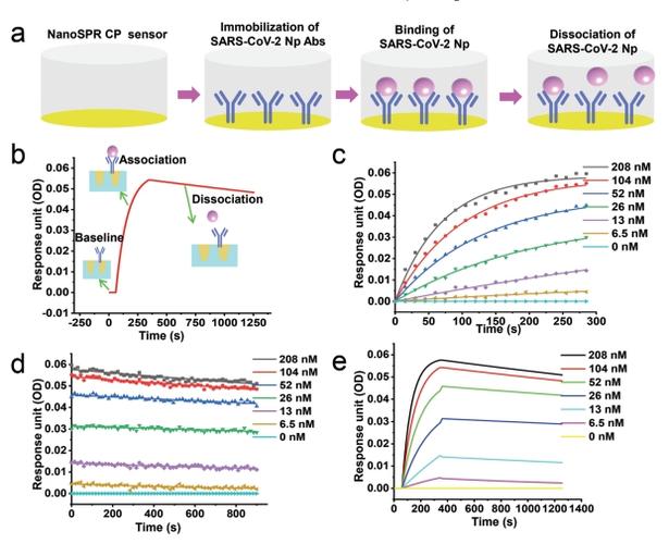 鼠标核心规格图解