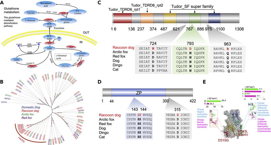 硬件性能对比图